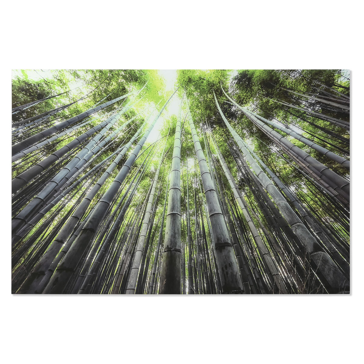 Painting Home ESPRIT Green Printed 150 x 0,4 x 100 cm