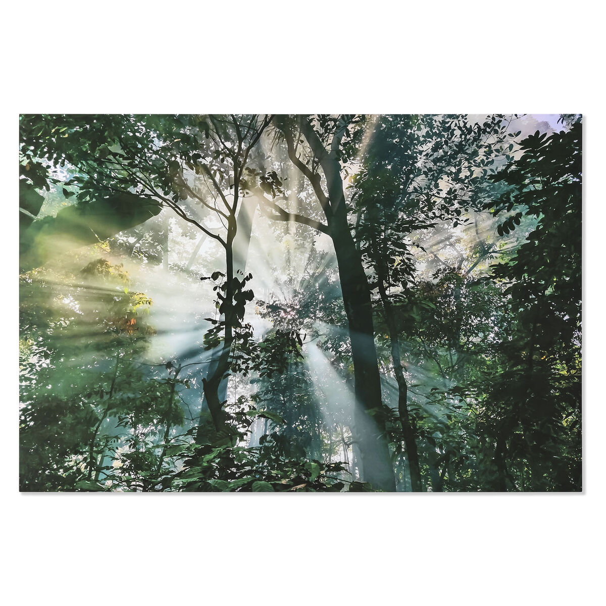 Painting Home ESPRIT Green Printed 150 x 0,4 x 100 cm