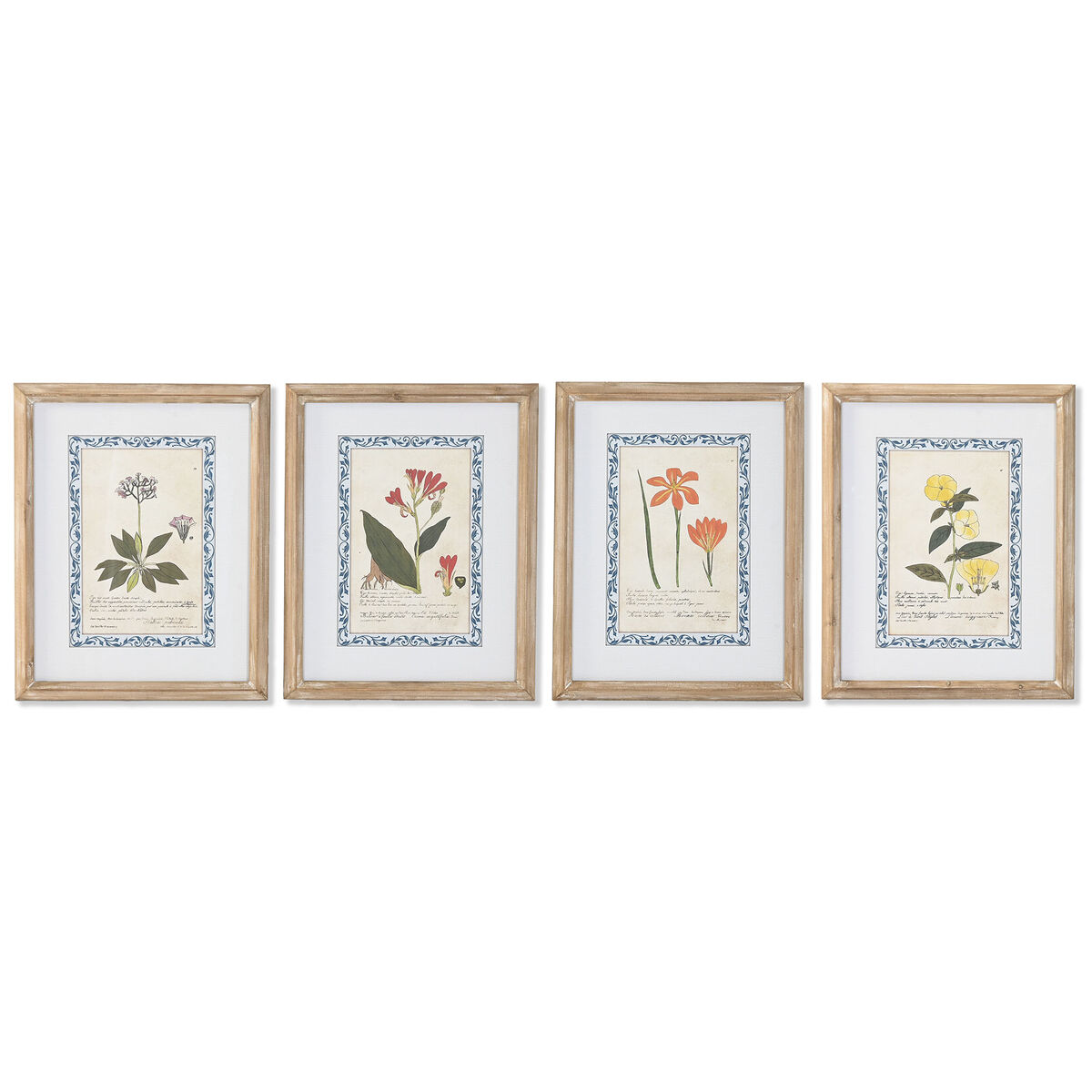 Painting Home ESPRIT Shabby Chic Botanical plants 40 x 2,5 x 50 cm (4 Units)